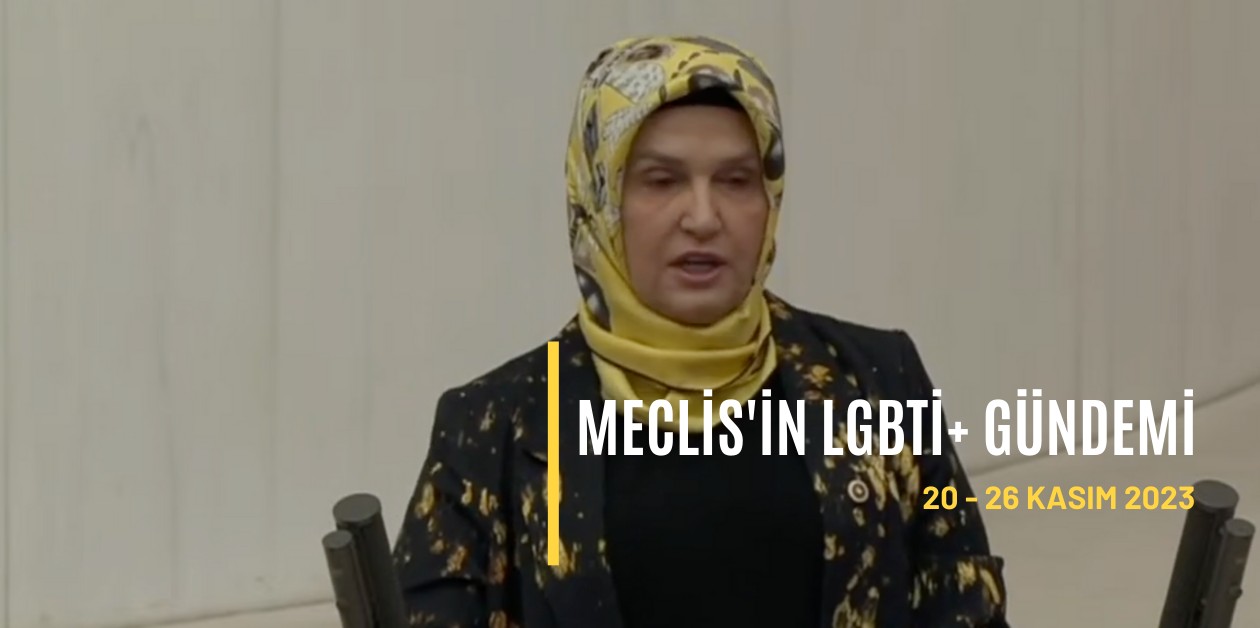 20 – 26 Kasım arası Meclis'in LGBTİ+ gündeminde neler vardı? - ÜniKuir
