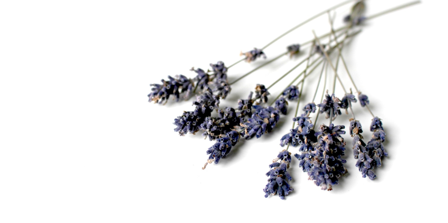 37 sivil toplum örgütünden “helalleşme” tartışmalarına ortak yanıt - ÜniKuir