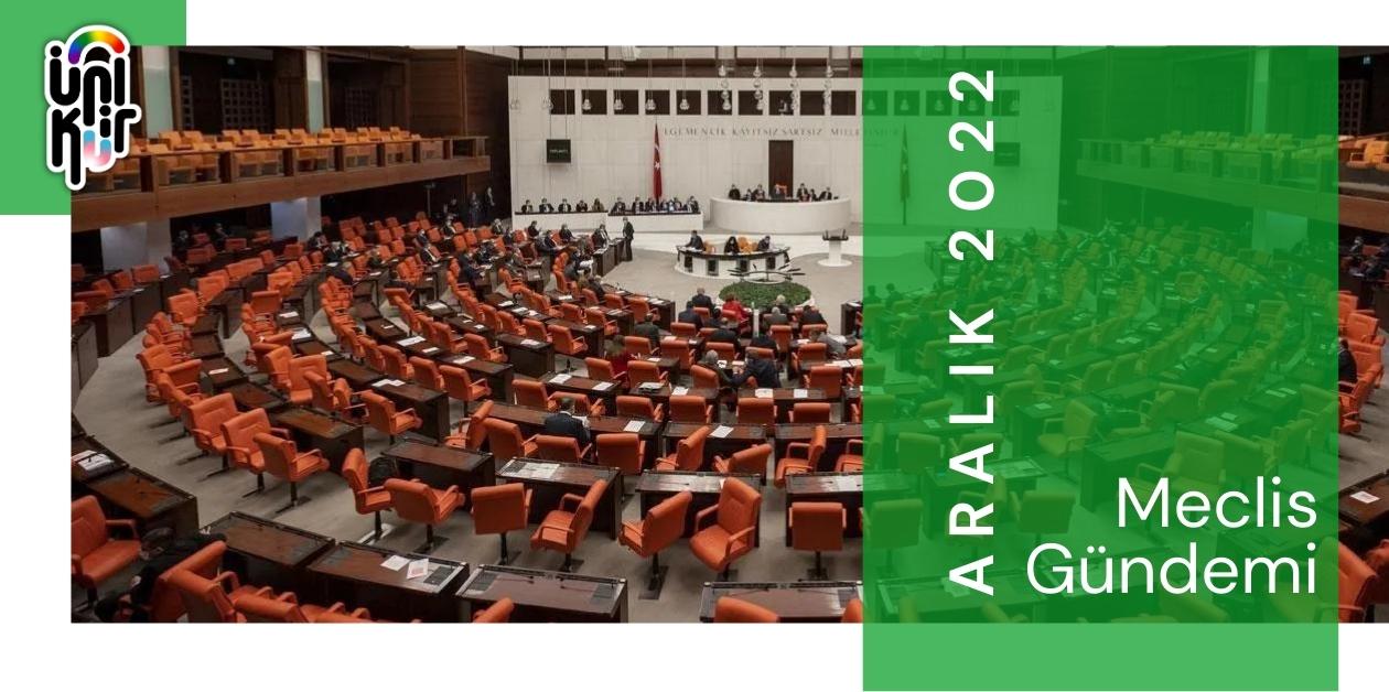 Aralık 2022: LGBTİ+'lar Meclis gündeminin neresinde? - ÜniKuir