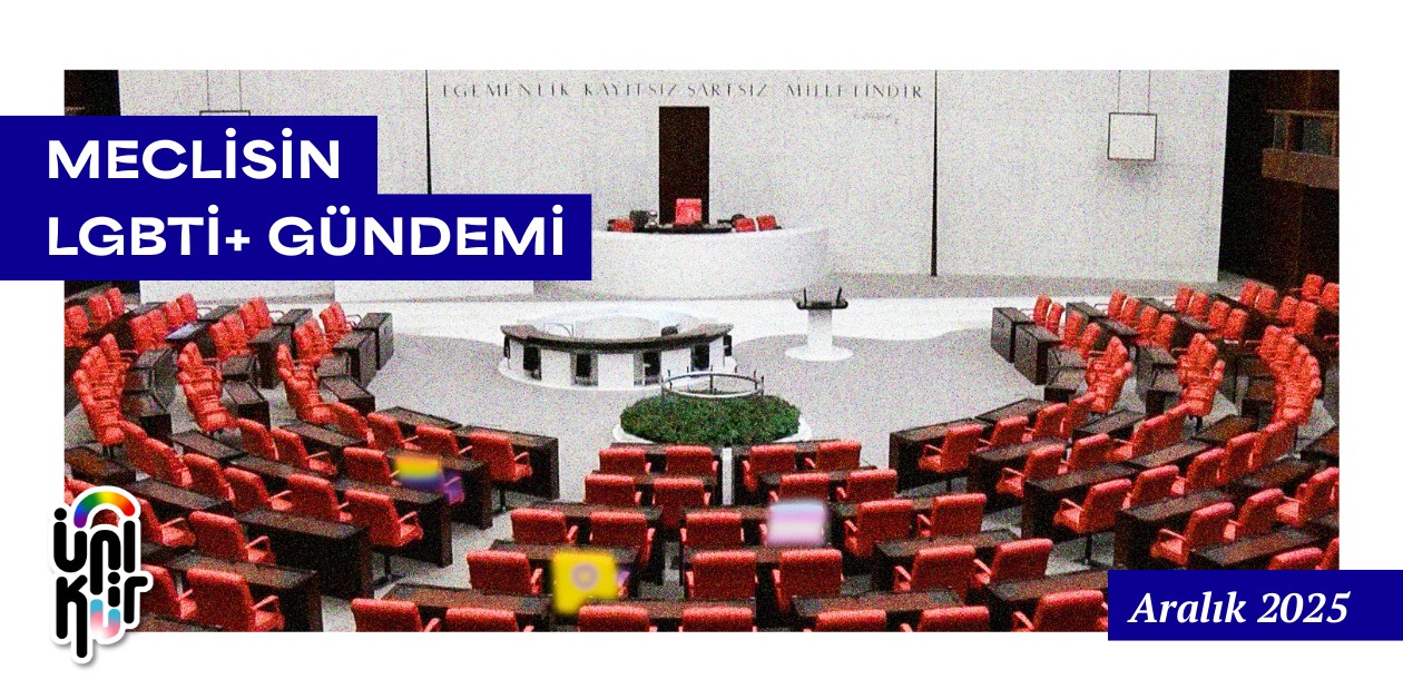 Aralık 2025: LGBTİ+'lar Meclis gündeminin neresinde? - ÜniKuir