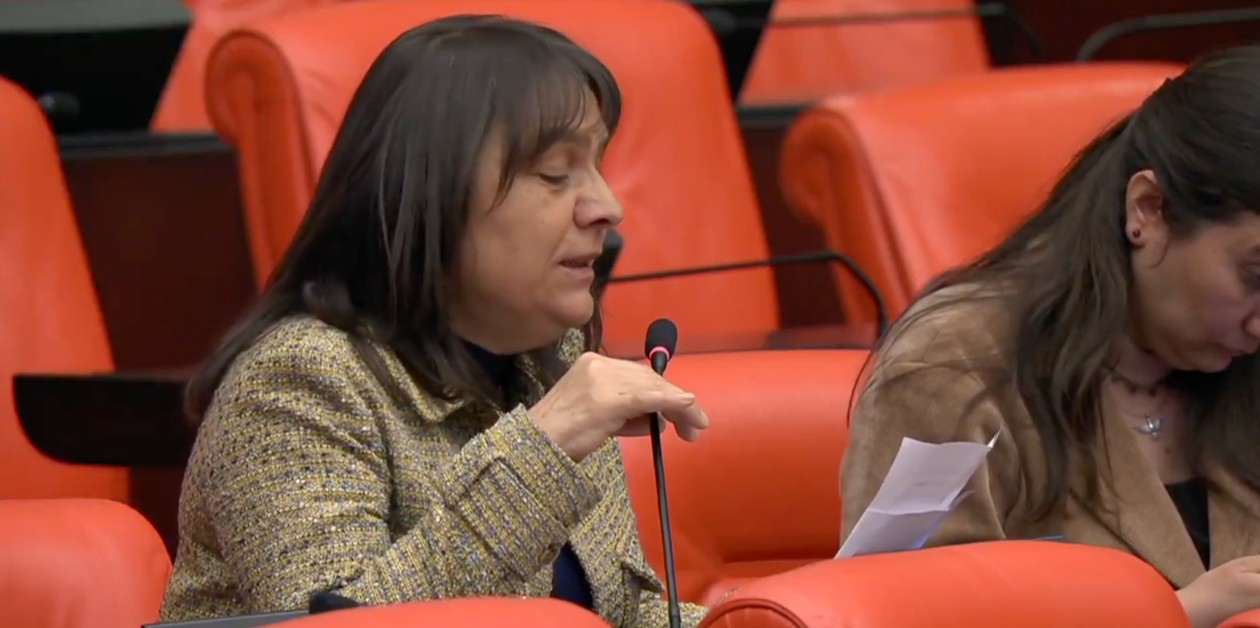 DEM Parti Milletvekili Özgül Saki, Arya’nın ölümünü Meclis gündemine taşıdı - ÜniKuir