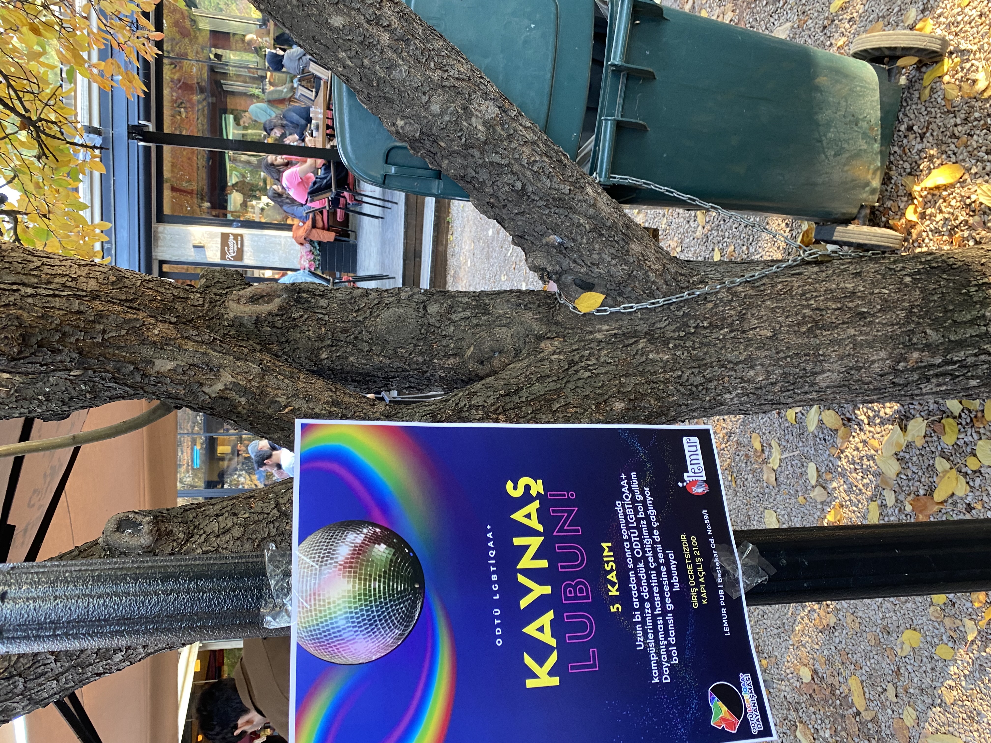 odtu-lu-ogrencinin-ayrimciliga-maruz-kaldigi-mekan-ozur-yayinlayacaginin-ve-lgbti-bayragi-asacaginin-sozunu-verdi