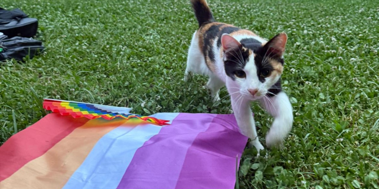 MEF LGBTİ+ Kulübü Final Pikniğiyle Dönemi Kapattı, Onur Ayı’nı Selamladı - ÜniKuir