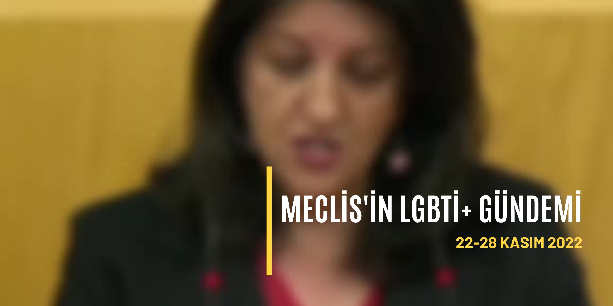 ÜniKuir, LGBTİ+ hakları bağlamında hafta hafta Meclis’i izleyecek - ÜniKuir